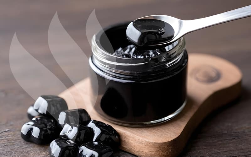 Shilajit Gummies vs Resin